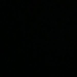 Meet your Posher, Patrica